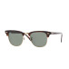 Solglasögon Clubmaster, Tortoise, G-15 (0RB3016 W366 51)