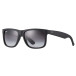 Solglasögon Justin, Rubber Black (0RB4165   601/8G   55)