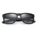 Solglasögon Justin, Rubber Black (0RB4165   601/8G   55)