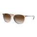 Solglasögon Erika, Shiny Transp Brown, Brown (RB4171 651413)