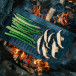 Outdoor grillplatta