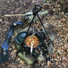Tripod S