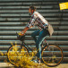 Tagbird Ringklocka Cykel iOS & Android 1-P
