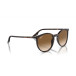 Solglasögon 0RB2204 Havana, Light Brown